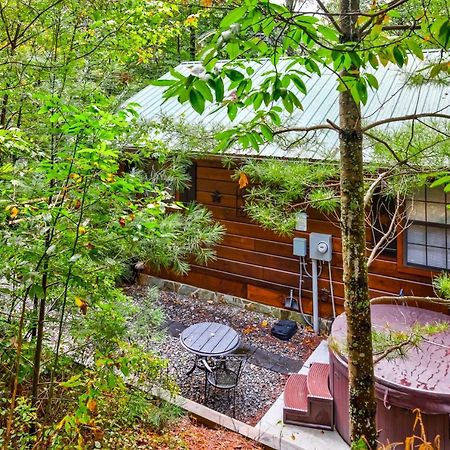 Etowah Villa Блу Ридж Екстериор снимка
